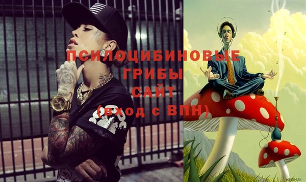 первитин Осинники