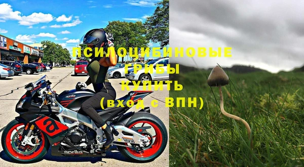 первитин Осинники