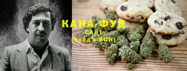 индика Болотное