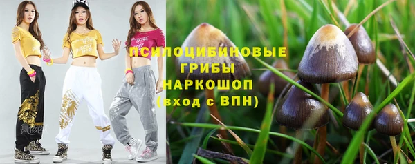экстази Нязепетровск