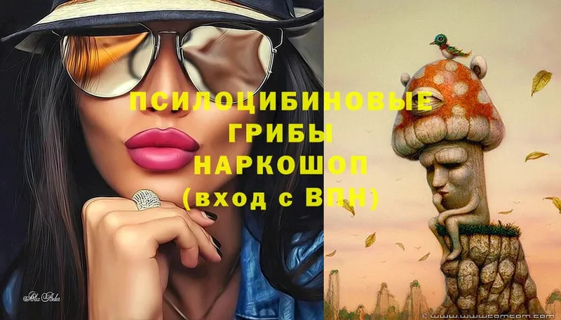 blacksprut tor  купить   Баймак  Галлюциногенные грибы Magic Shrooms 