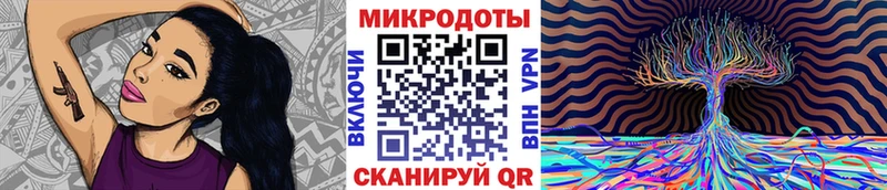 Галлюциногенные грибы Psilocybine cubensis  Баймак 